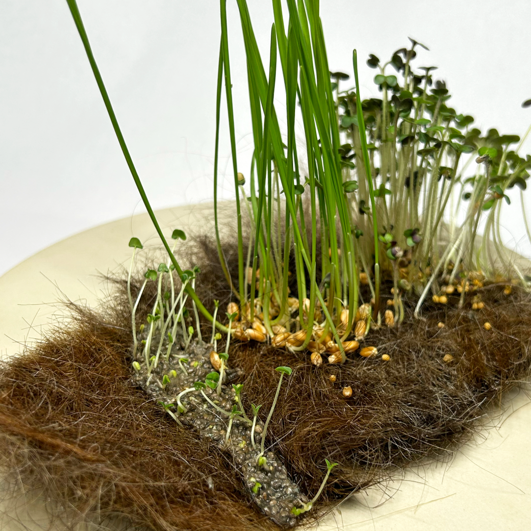 Meet Beth Williams: an artist turning hair into living materials