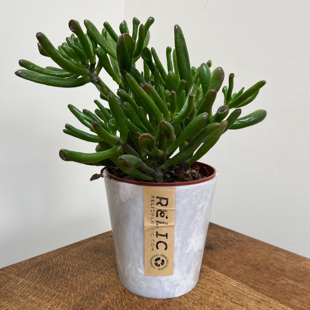 How Hair Can Benefit Your Summer Garden