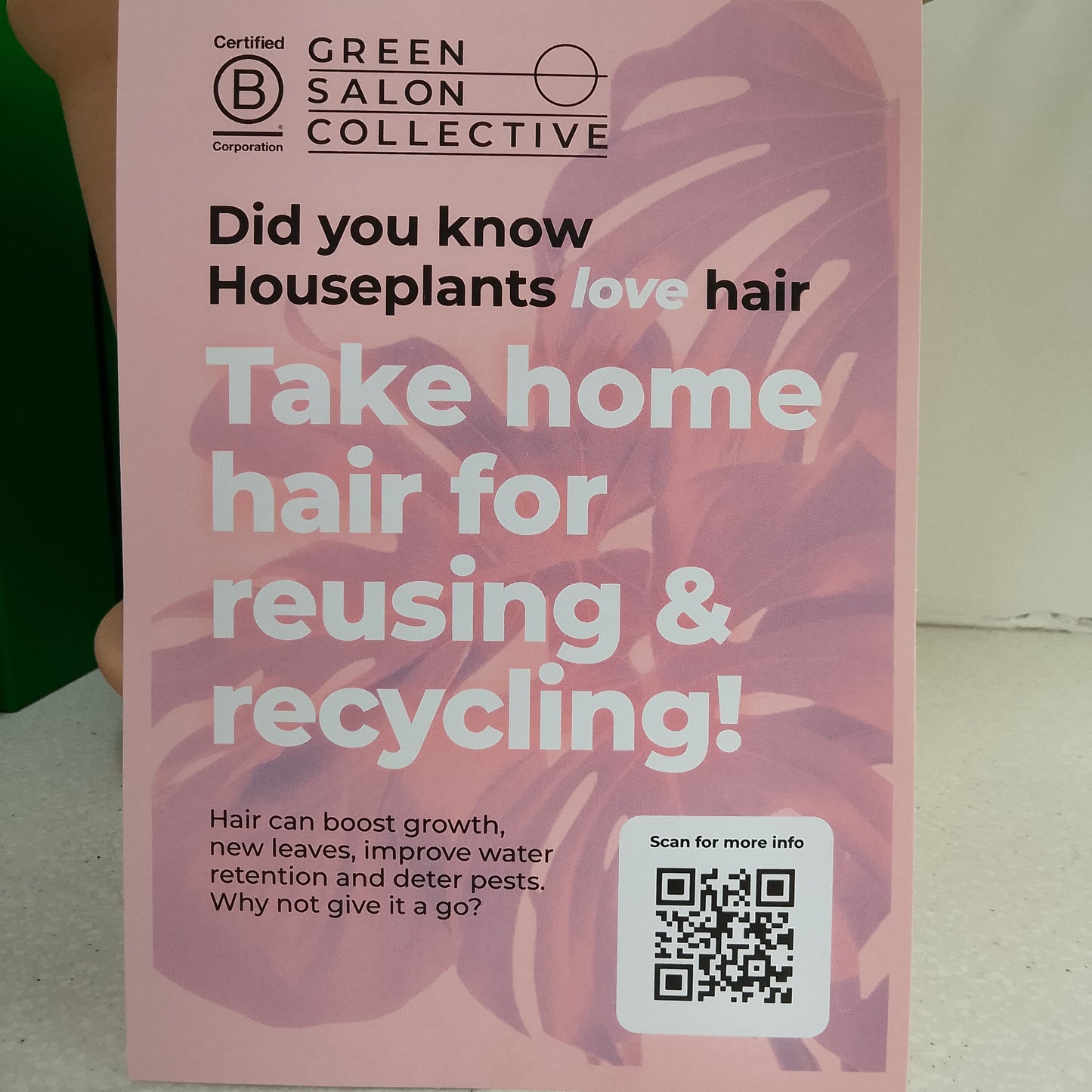 Hairy Houseplants Kit - Give your Clients Hair!