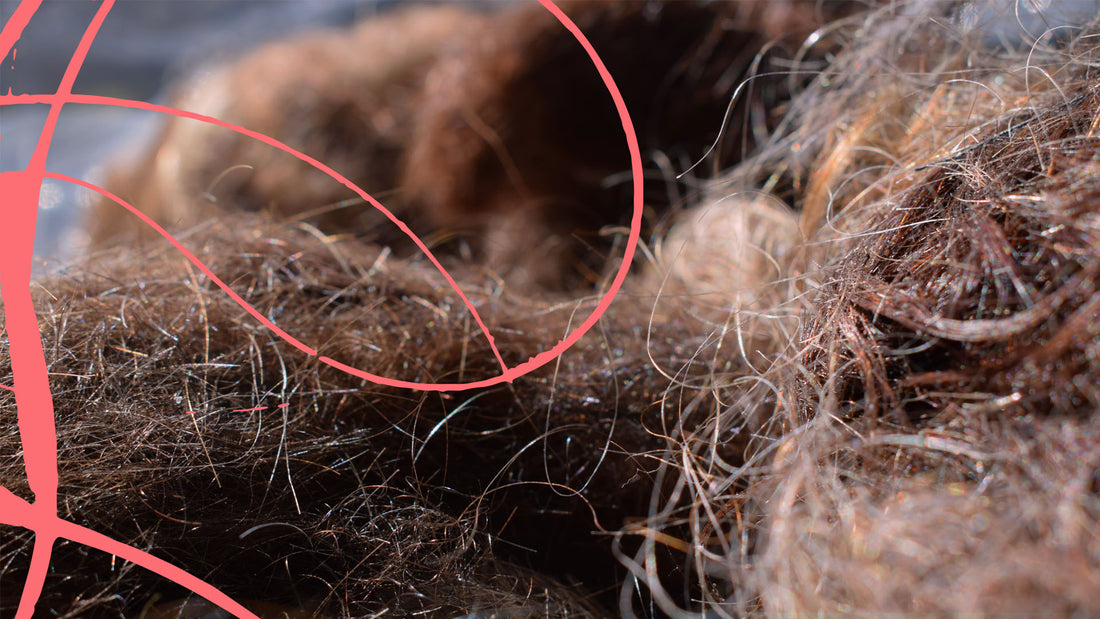Understanding the Impact of Hair Waste and the Role of Green Salon Collective Member Salons