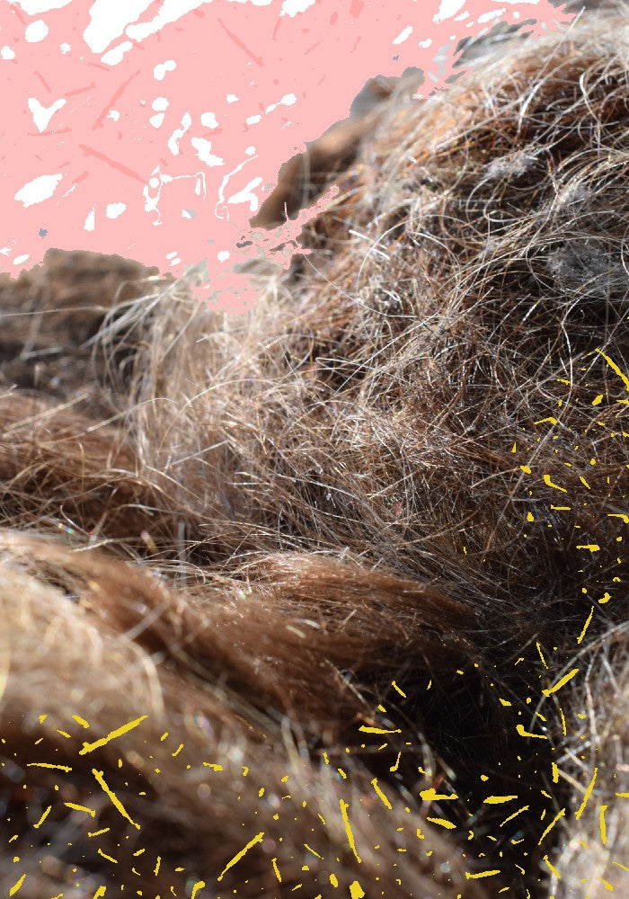 Biodegradable + Organic Hair Ties (Black | 30 pack) – Homeostasis Living