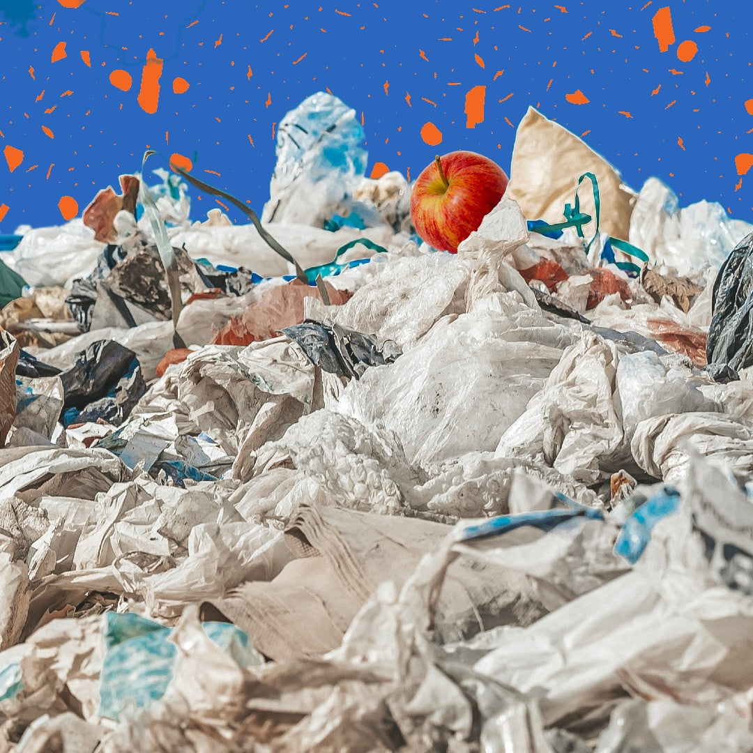 Even apples should NOT be sent to landfill and here’s why
