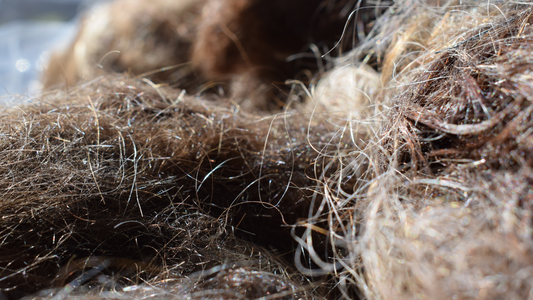 Earth Hour 2026: a salon-sized hour that can spark year-round change