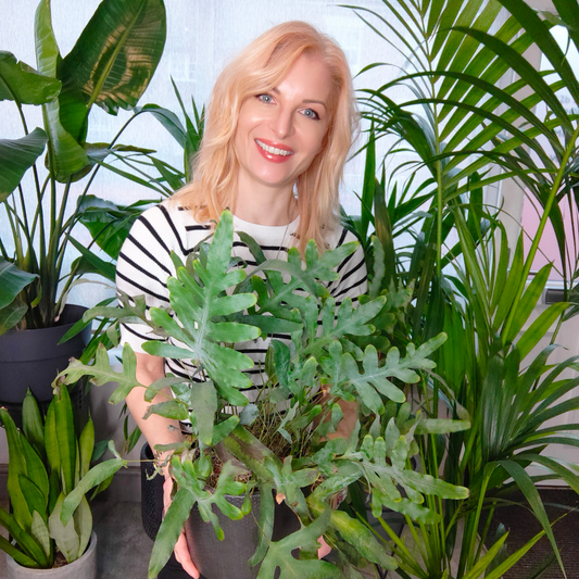 Top Tips for Using Plants in Your Hair Salon