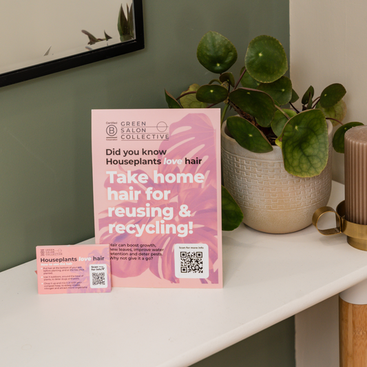 Hairy Houseplants Kit - Give your Clients Hair!